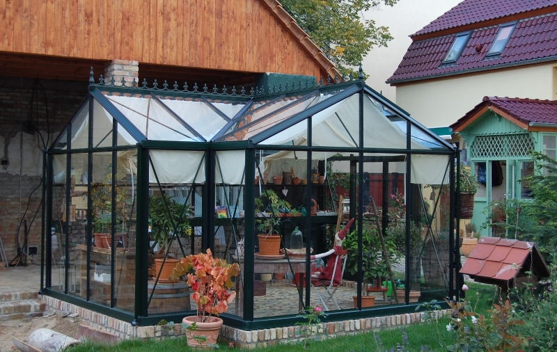 Palmen im Gewächshaus überwintern Helios Orangerie 14 Helios Orangerie 14